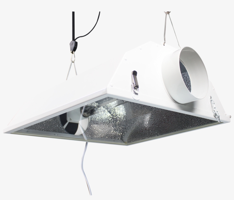 Cool Cell - Light, transparent png download