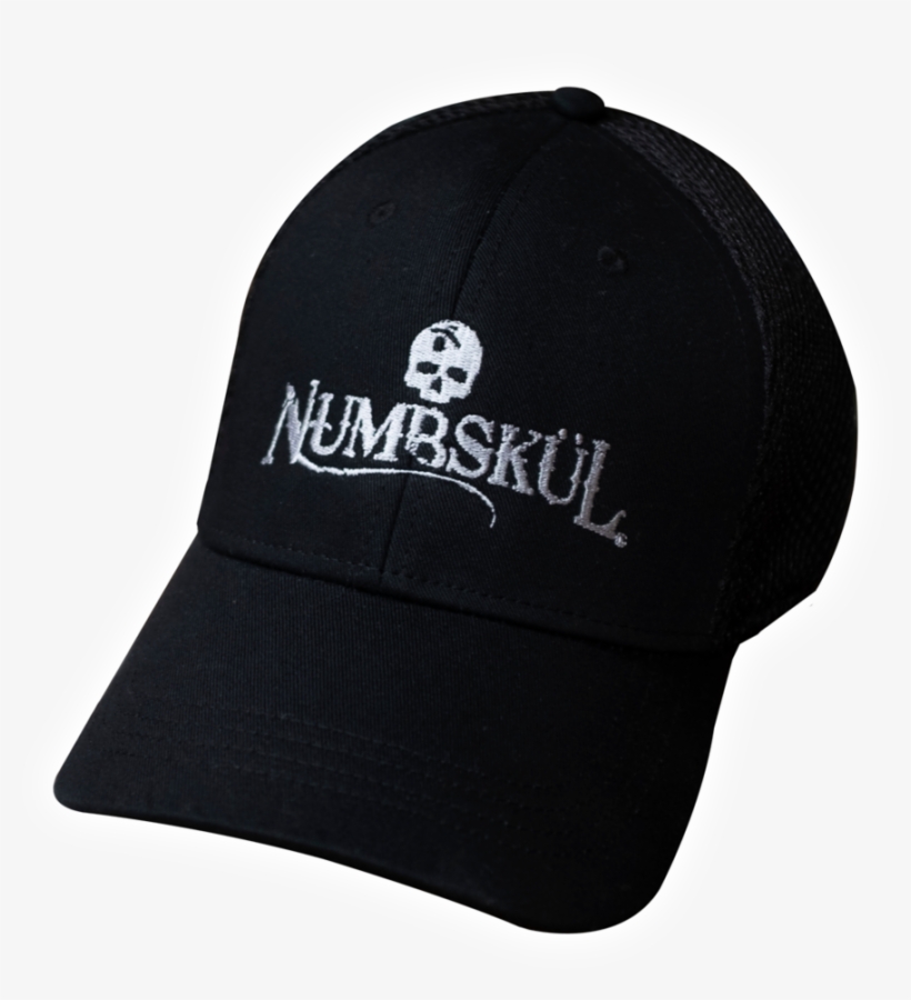 Numbskul Mesh Cap - Hat, transparent png download