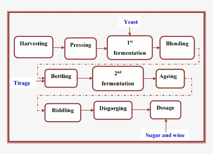 A Flow Diagram Of The Stages Of The Sparkling Winemaking - Symmetry, transparent png download