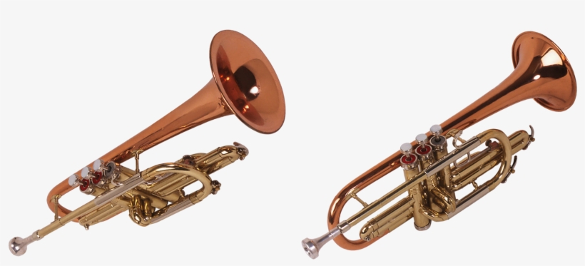 Shaptha Swarangal Musical Instruments Sales Service - Trombita Png, transparent png download