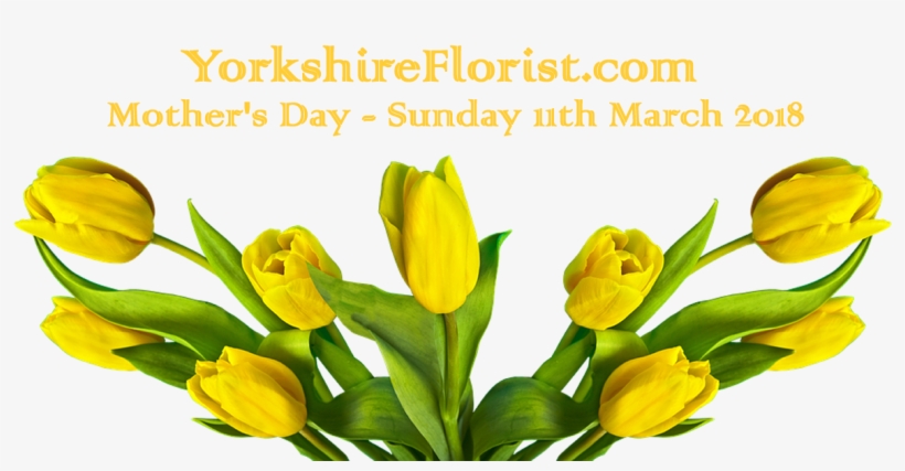 Mother S Day 11th March 2018 Menu Fresh Flower - Tulip, transparent png download