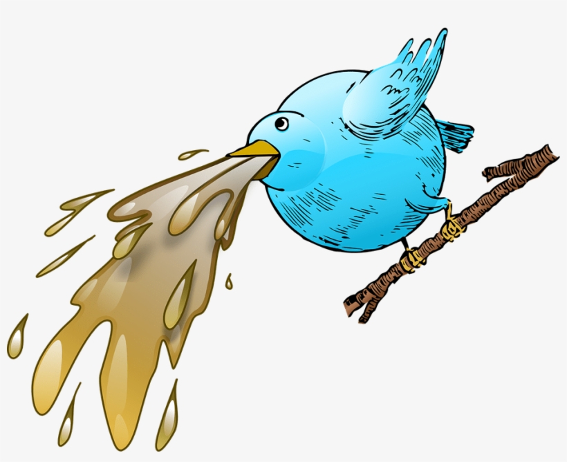 Cockatiel Clipart Pinterest - Vomito Png, transparent png download