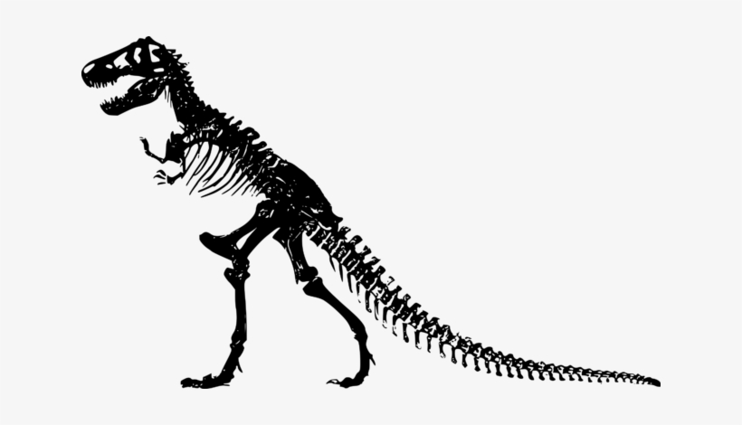 Dino Bones - T Rex Skeleton Clip Art, transparent png download