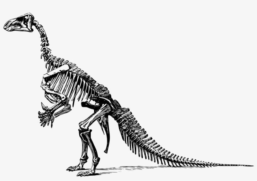 Download Png - Dinosaurs Didn T Read Now They Are Extinct, transparent png download