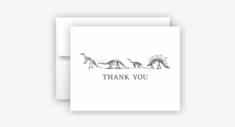 Dinosaur Skeleton Bones Thank You Cards Note Card Stationery - Stationery, transparent png download