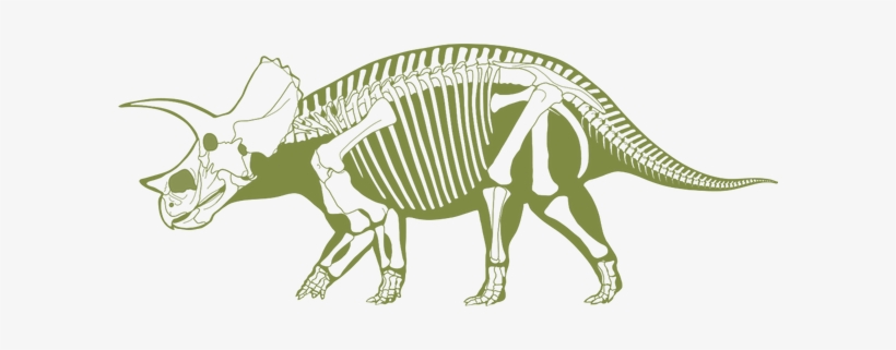 Skeleton - Dinosaurs Profiles, transparent png download