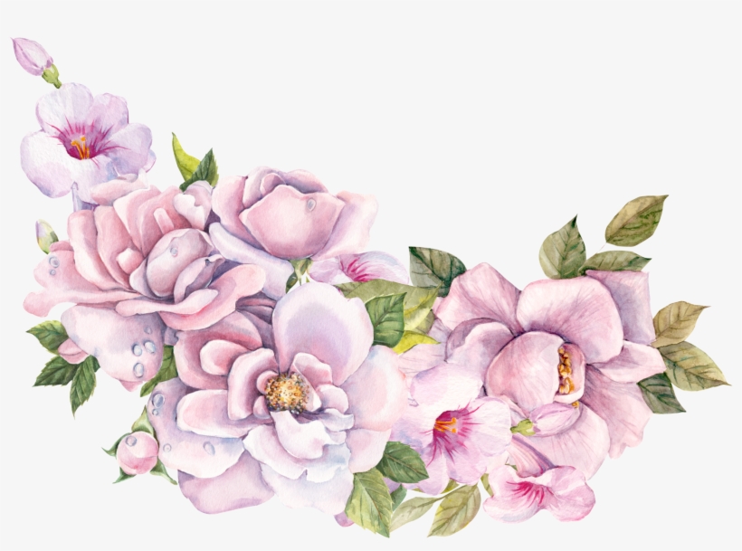 Discover - Illustration, transparent png download