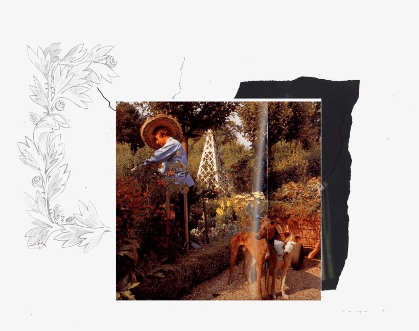 Picture Frame, transparent png download