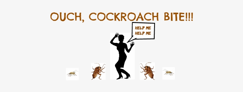 Cockroach Bite - Cockroaches Bite, transparent png download