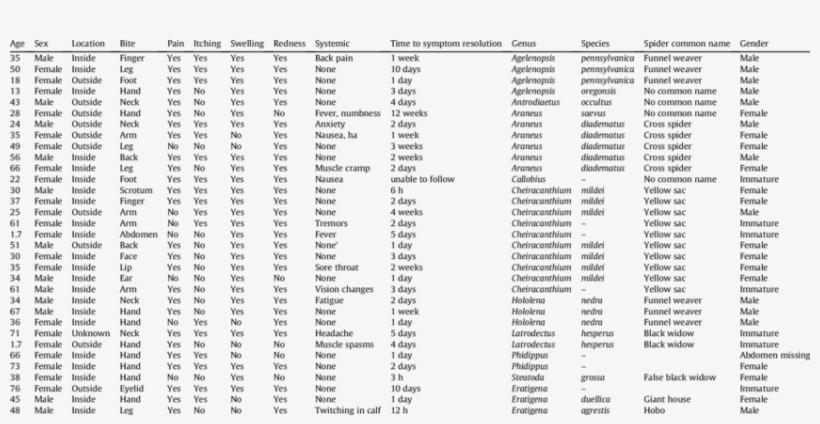 Spider Bite Demographics - Document, transparent png download