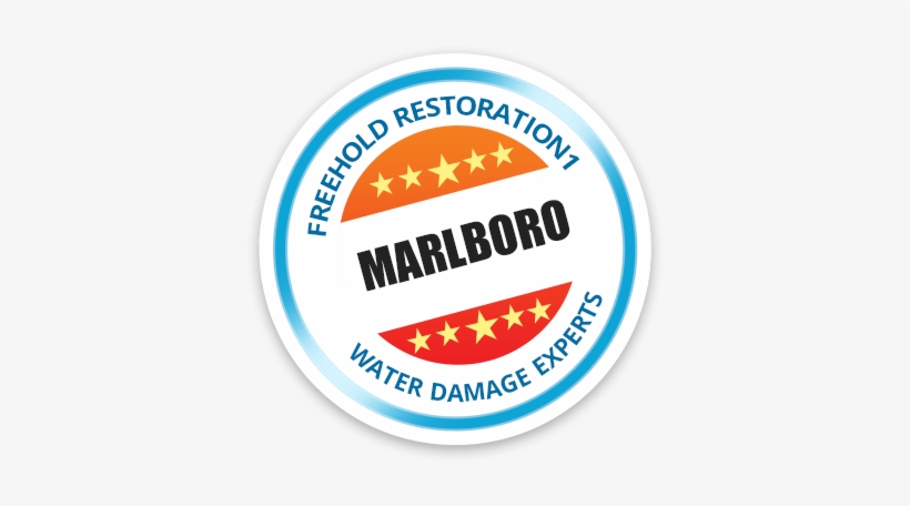 Contact Us Today - Water Damage, transparent png download