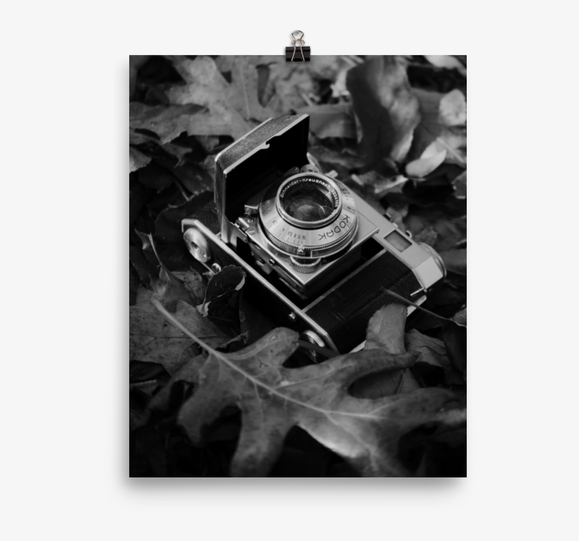 Vintage Camera Art Print Rachel Allison Shop - Camera, transparent png download