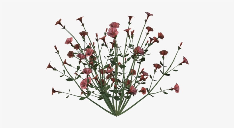 Petunia-bunch - Ink Wash Painting, transparent png download