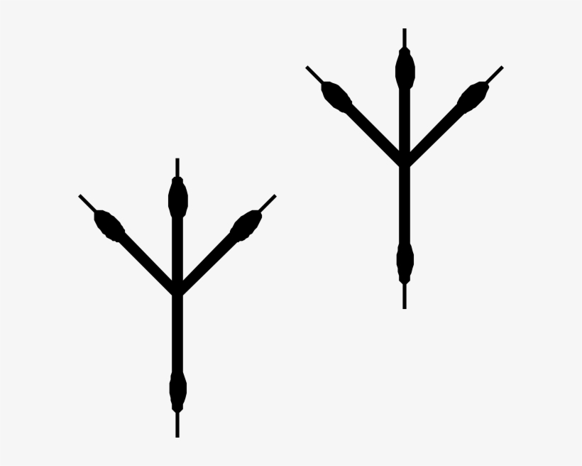 Png Black And White Stock Footprints Png Svg Clip Art - Bird Footprint Clipart, transparent png download