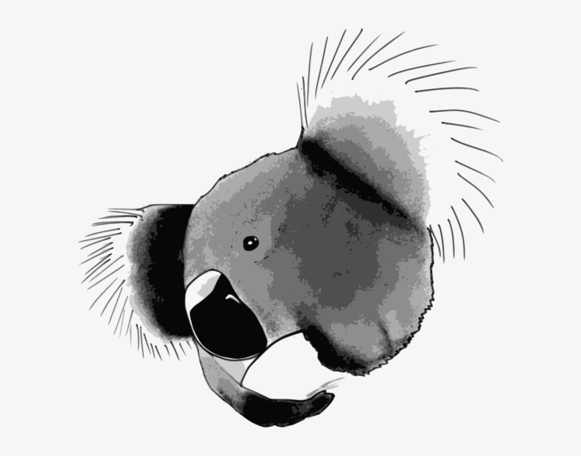How To Set Use Koala Face Svg Vector, transparent png download