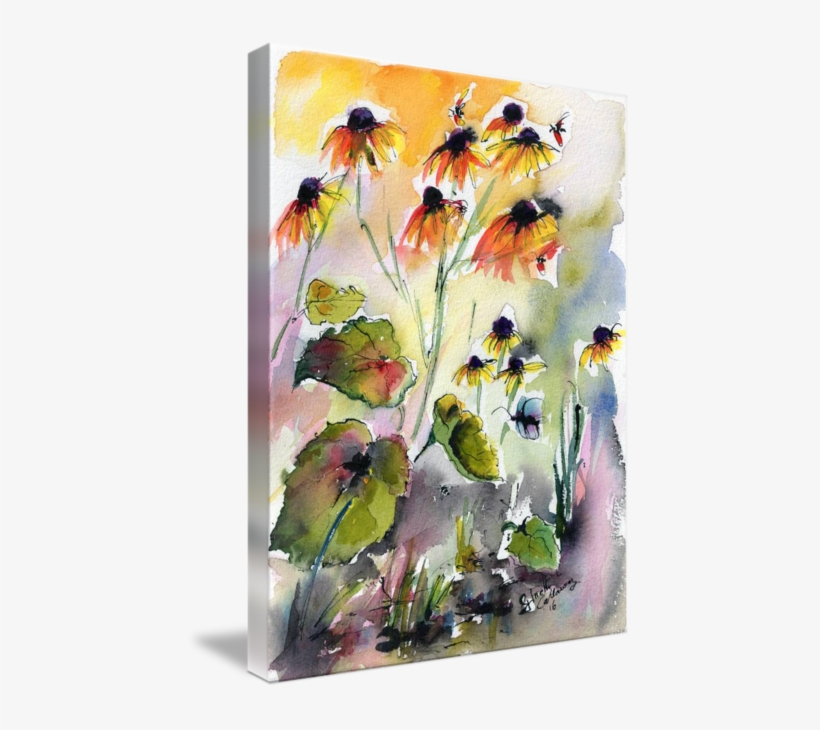 Coneflower Drawing Watercolor - Watercolor Painting, transparent png download