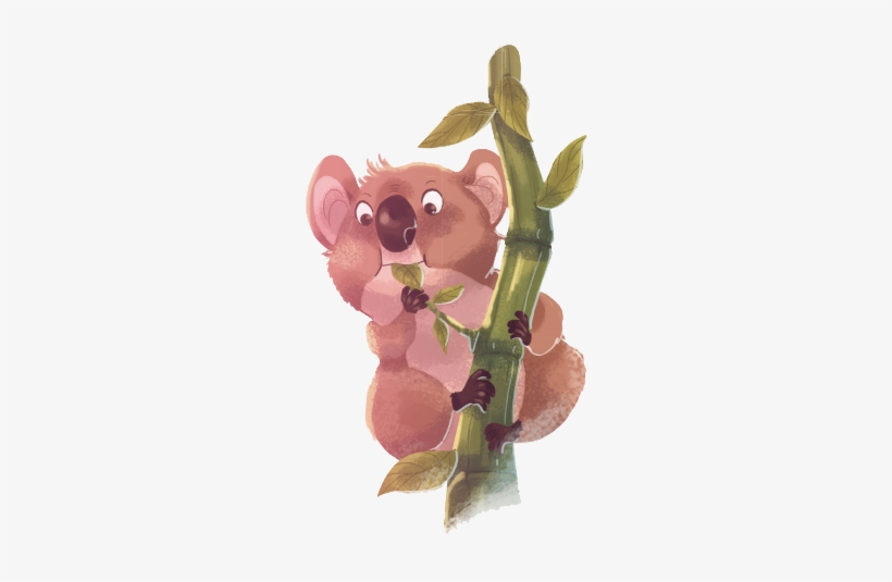 Koala, transparent png download