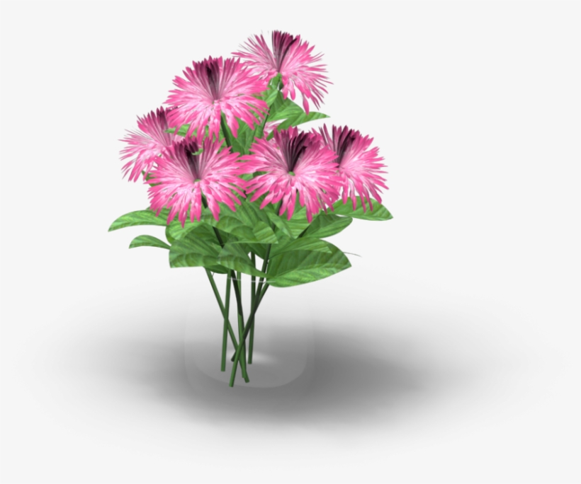 Vase With Flowers - Barberton Daisy, transparent png download