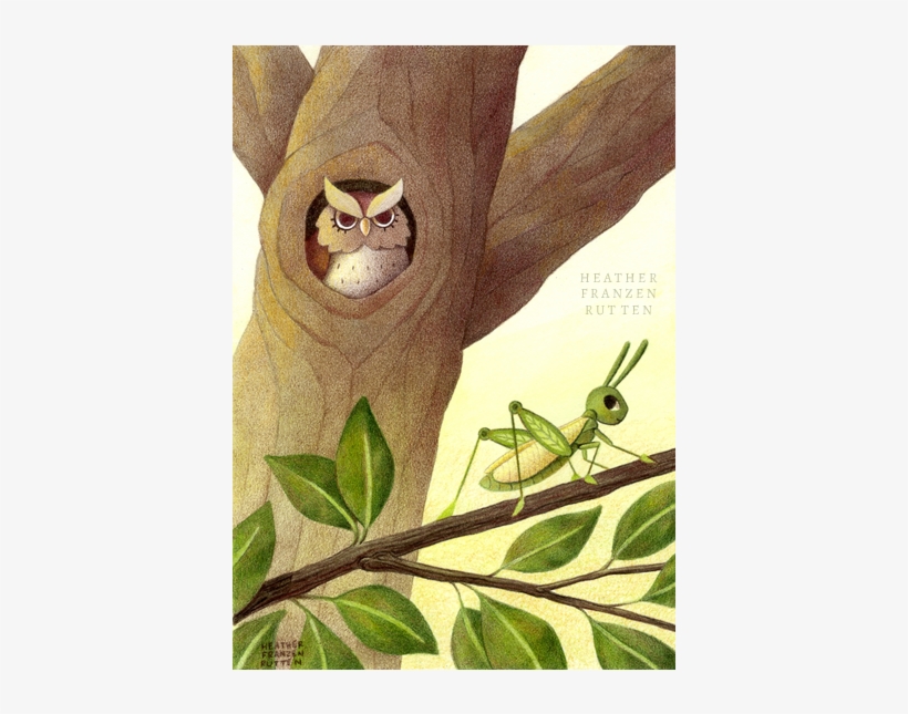7) The Owl And Finishing Touches I Add Naples Yellow - Color, transparent png download