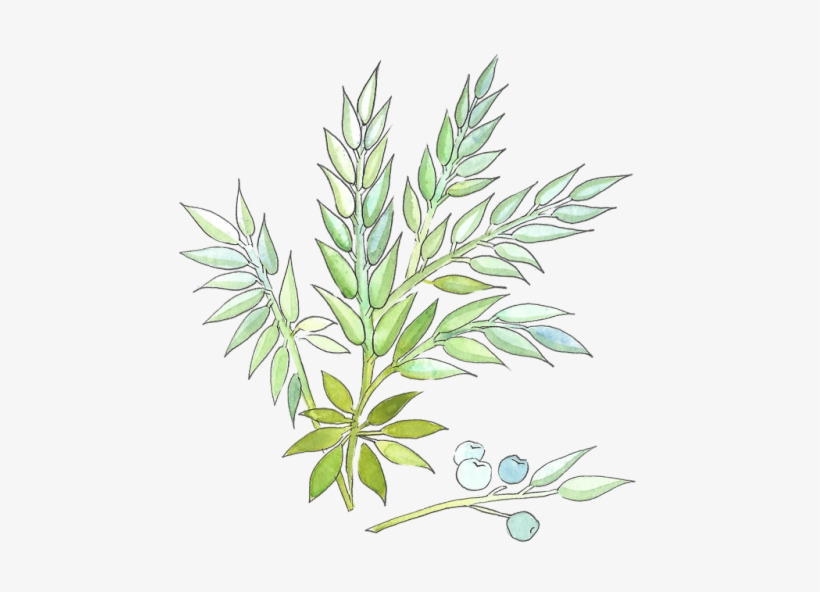 3 - Line Art, transparent png download
