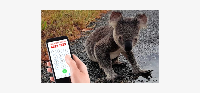 Slide 06 Fok Slider Rescue Hotline, transparent png download