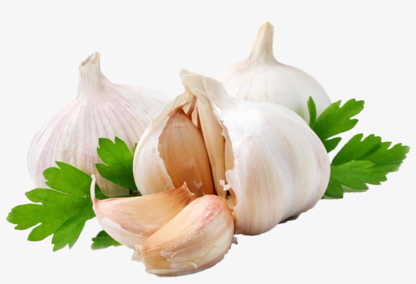 Garlic Png - Garlic In Png, transparent png download