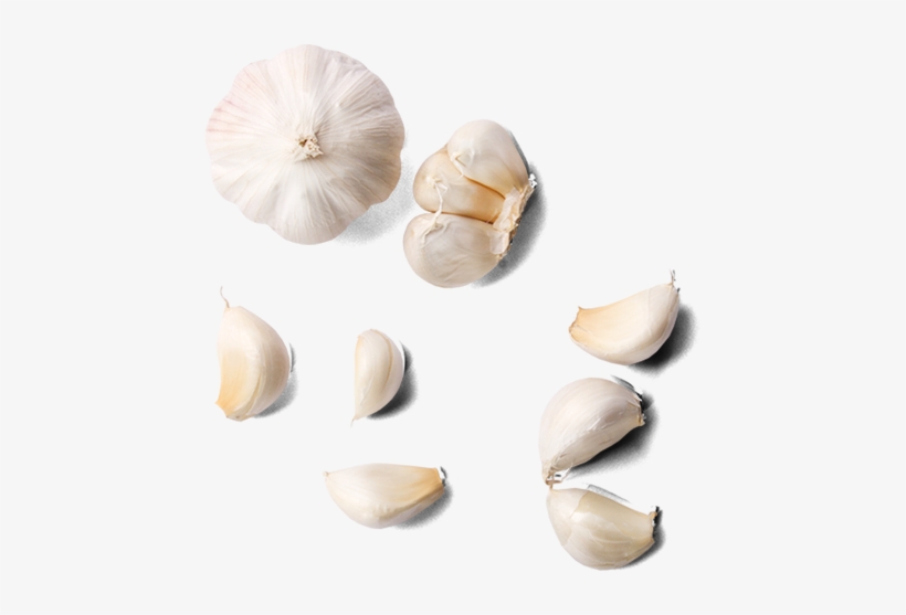 Garlic Transparent Image - Garlic, transparent png download