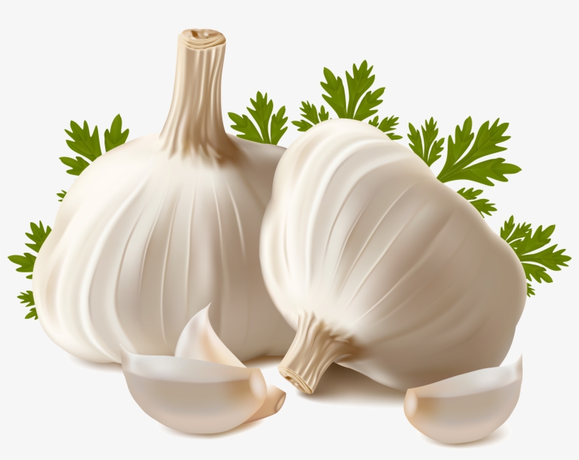 Garlic Png - Micropropagation And Somatic Embryogenesis In Garlic, transparent png download