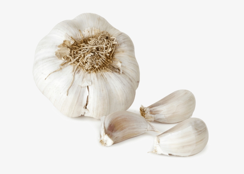 Free Png Garlic Png File Png Images Transparent - Garlic Png, transparent png download