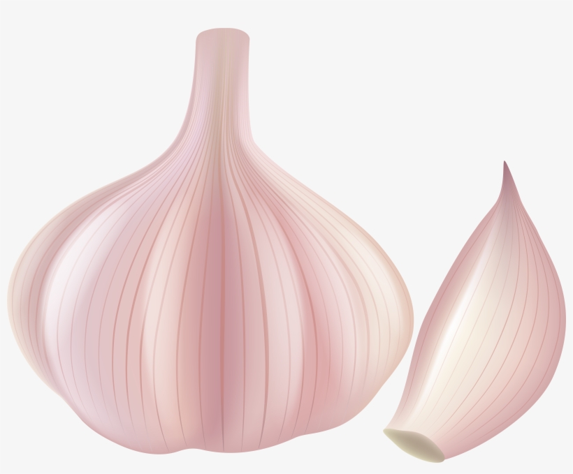 Clip Free Download Png Clip Art Gallery Yopriceville - Garlic Clipart Png, transparent png download
