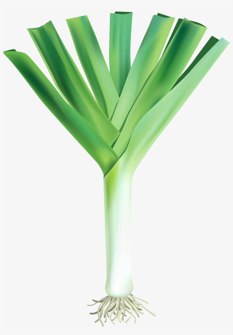 Garlic Png, transparent png download