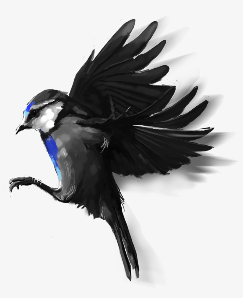 March 09, - Bird Png For Picsart, transparent png download