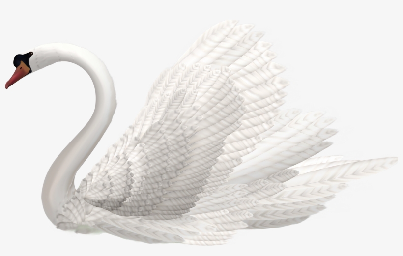 White Swan Png Clipart Image - Swan Png, transparent png download