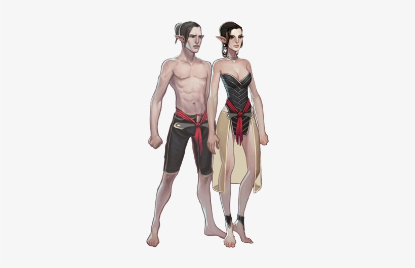 Shorter Than Humans And Have A Slender, Lithe Build, - Elves Dragon Age Concept Art, transparent png download