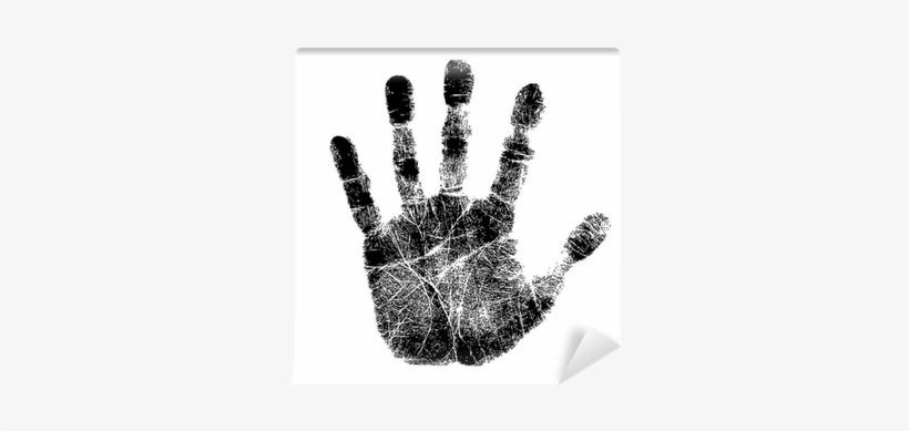 Anarchism: On The Real Nature Of Self-government; A, transparent png download