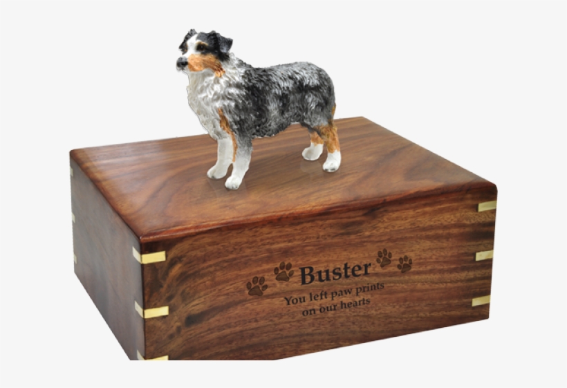 Australian Cattle Dog Clipart Australian Shepherd - Urns For Boston Terriers, transparent png download