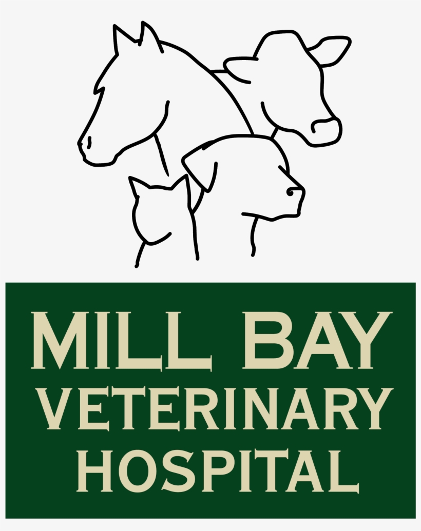 Veterinary Technician - Cartoon, transparent png download