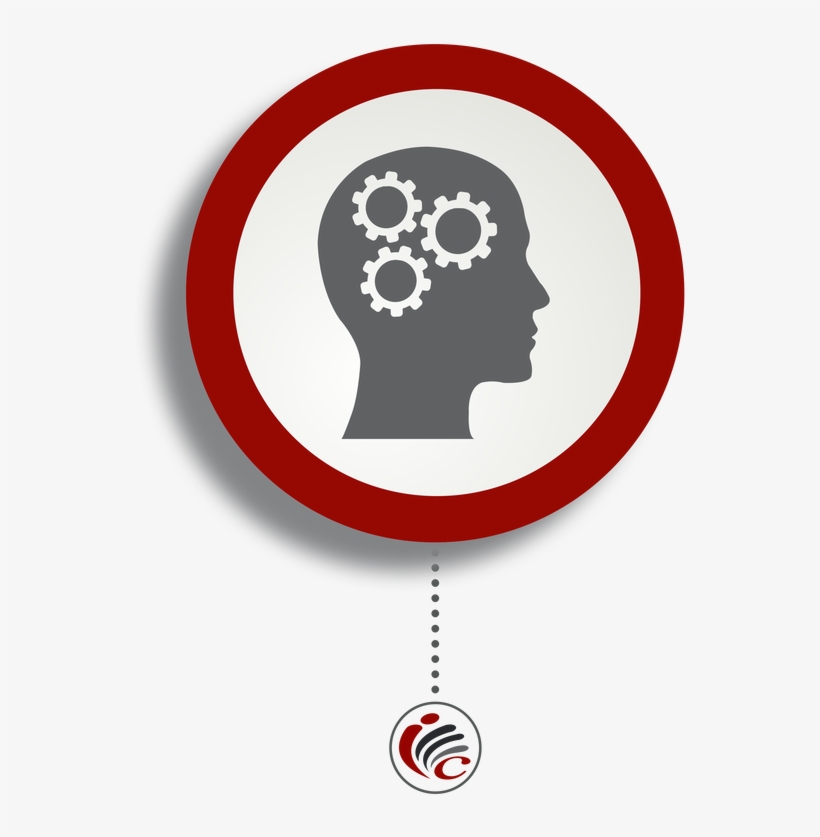 The Inama Coaching Approach, Importance Of Providing - Skull, transparent png download