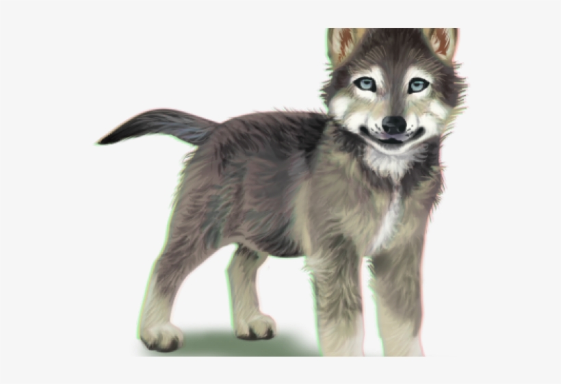 Wolf, transparent png download