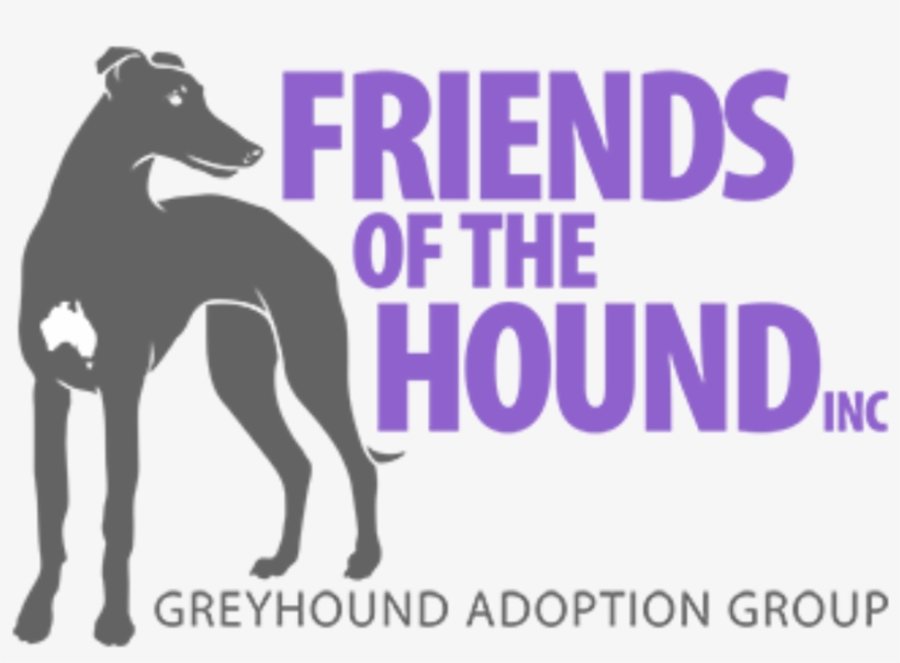 Friends Of The Hound - Magyar Agár, transparent png download