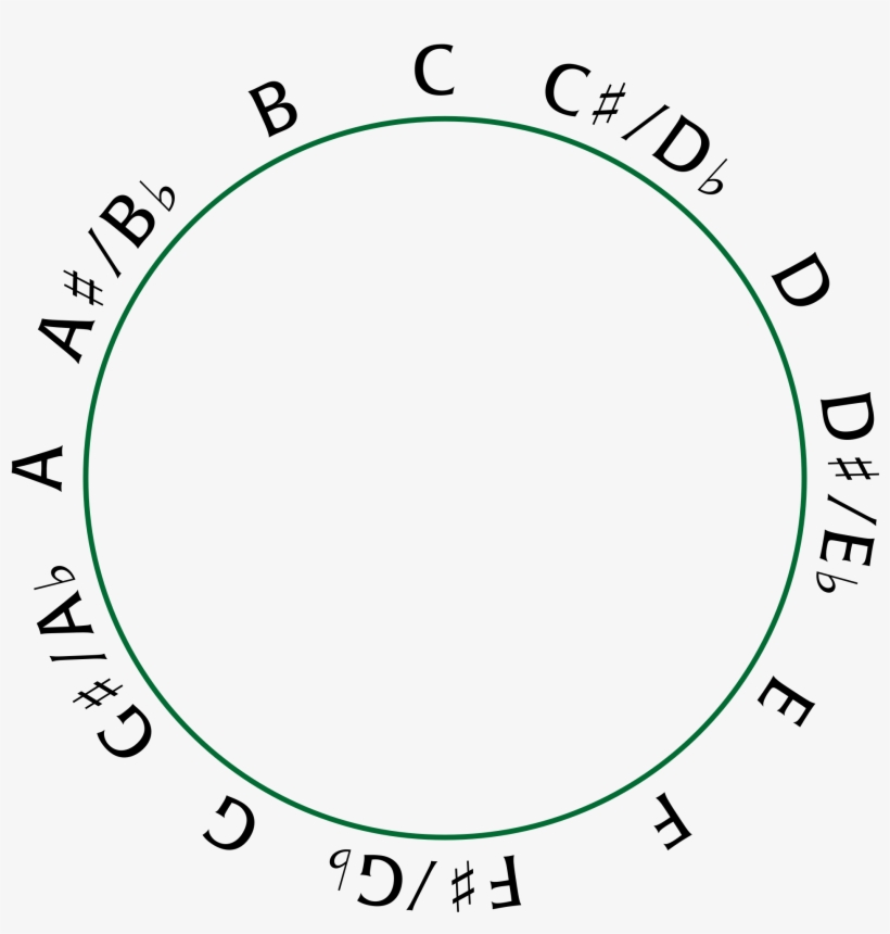 Chromatic Scale For Reference - Circle, transparent png download