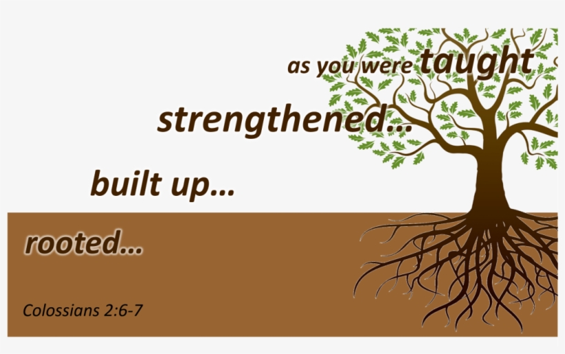 The Stanford Standardized Achievement Test Is Administered - Tree With Roots Free, transparent png download