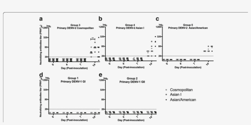 Neutralizing Antibody Titers In Marmosets Inoculated - Diagram, transparent png download
