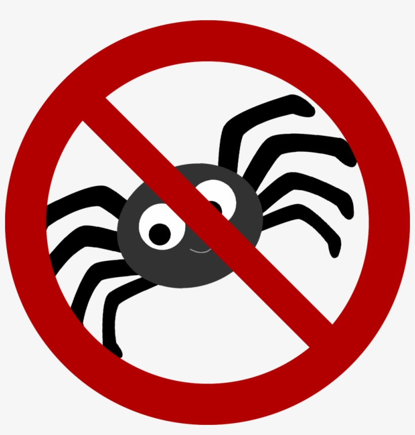 Spider - We Do Not Accept Paypal, transparent png download