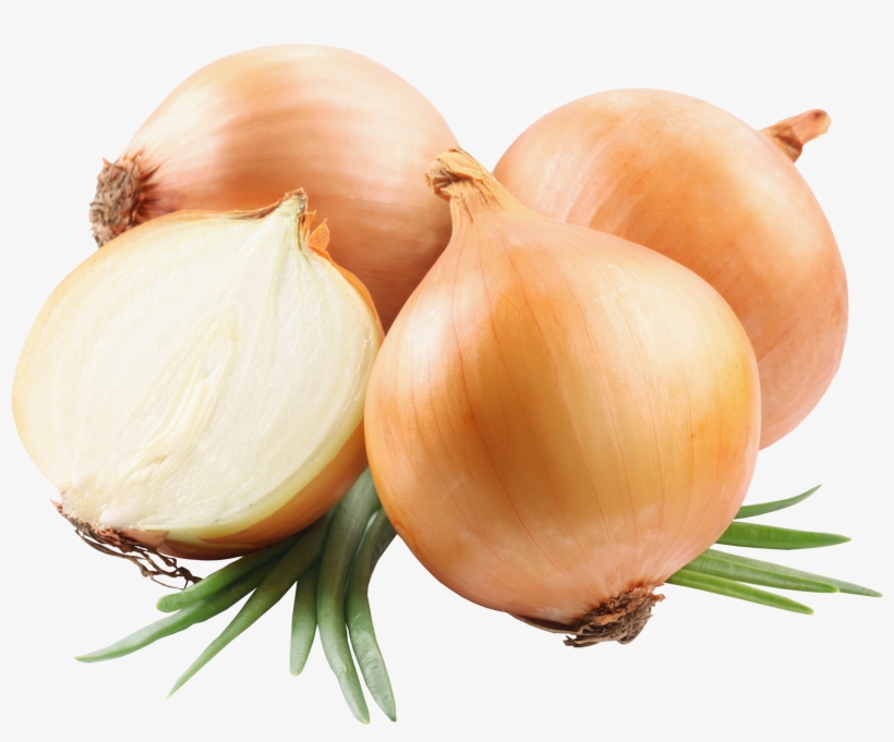 Onions Png Picutre - Onion Png, transparent png download
