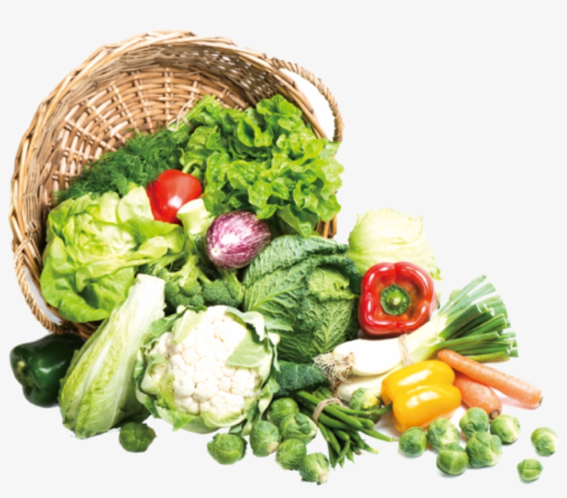 Free Png Download Vegetables Png Images Background - Organic Vegetables Png, transparent png download