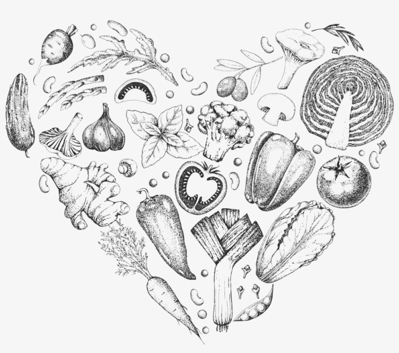 Hand Painted Various Vegetables Transparent - Sketch, transparent png download