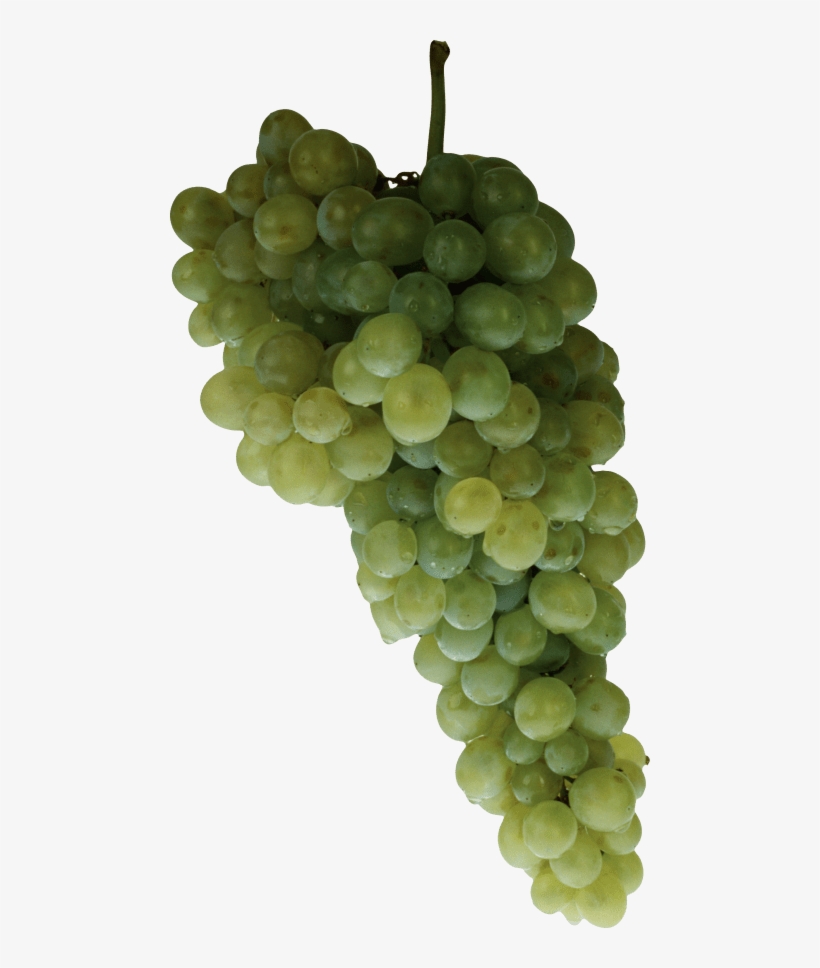 Download Grape Png Images Background - Grape, transparent png download