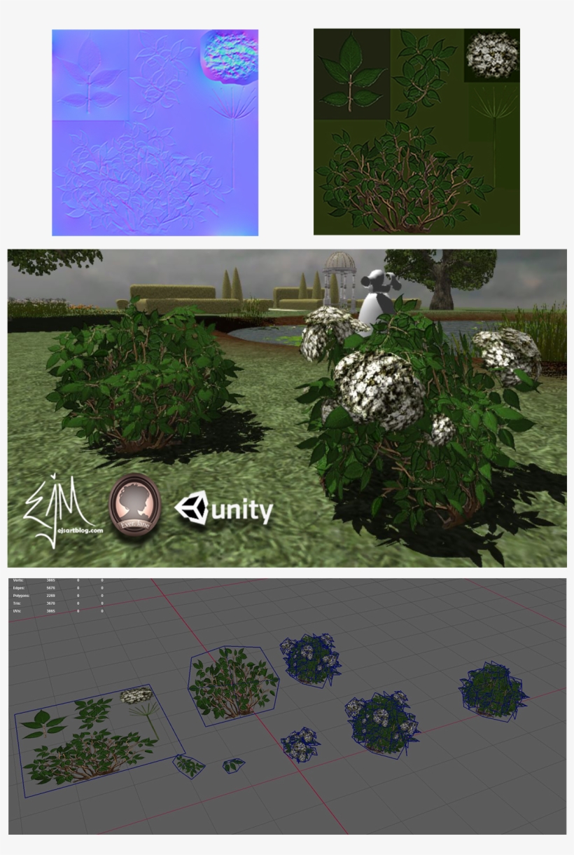 Elderberrybush Ejtheartist - Yard, transparent png download