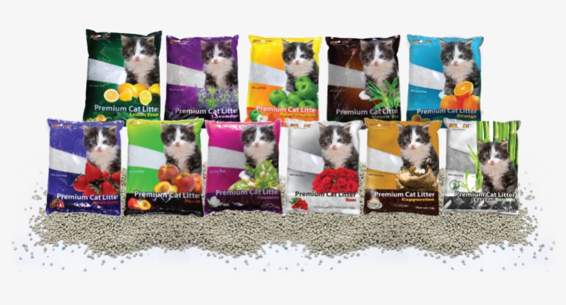 Pet Cat Cat Litter - Sumo Cat Litter, transparent png download
